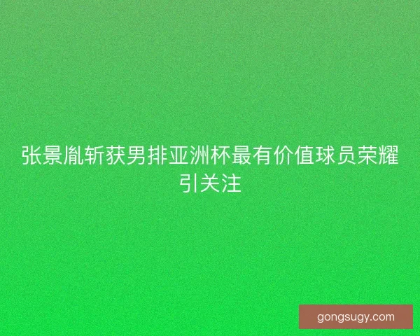 张景胤斩获男排亚洲杯最有价值球员荣耀引关注 张景胤斩获男排亚洲杯最有价值球员荣耀引关注