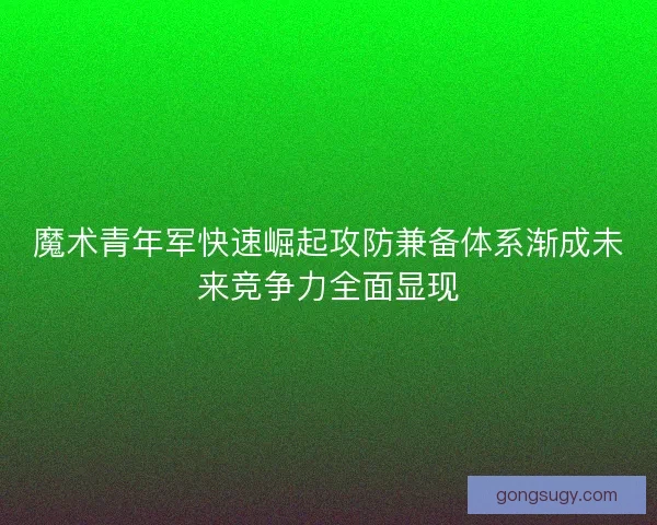 魔术青年军快速崛起攻防兼备体系渐成未来竞争力全面显现 魔术青年军快速崛起攻防兼备体系渐成未来竞争力全面显现