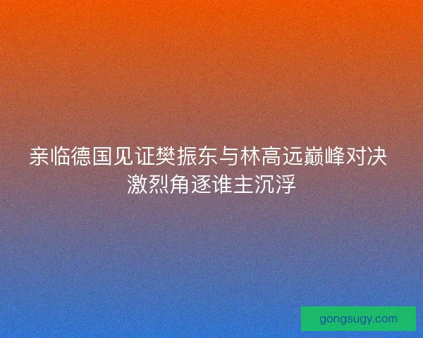 亲临德国见证樊振东与林高远巅峰对决 激烈角逐谁主沉浮 亲临德国见证樊振东与林高远巅峰对决 激烈角逐谁主沉浮